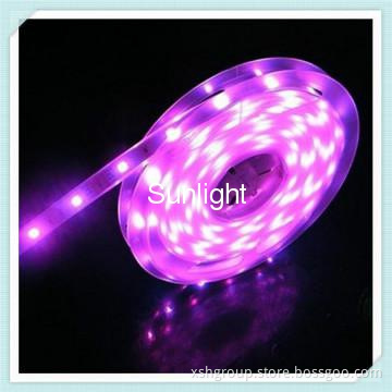 Popular 60leds SMD5050 non-waterproof led strip 14.4W 60leds/m IP65